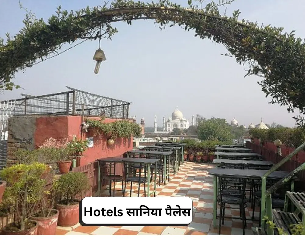Hotel सानिया पैलेस 