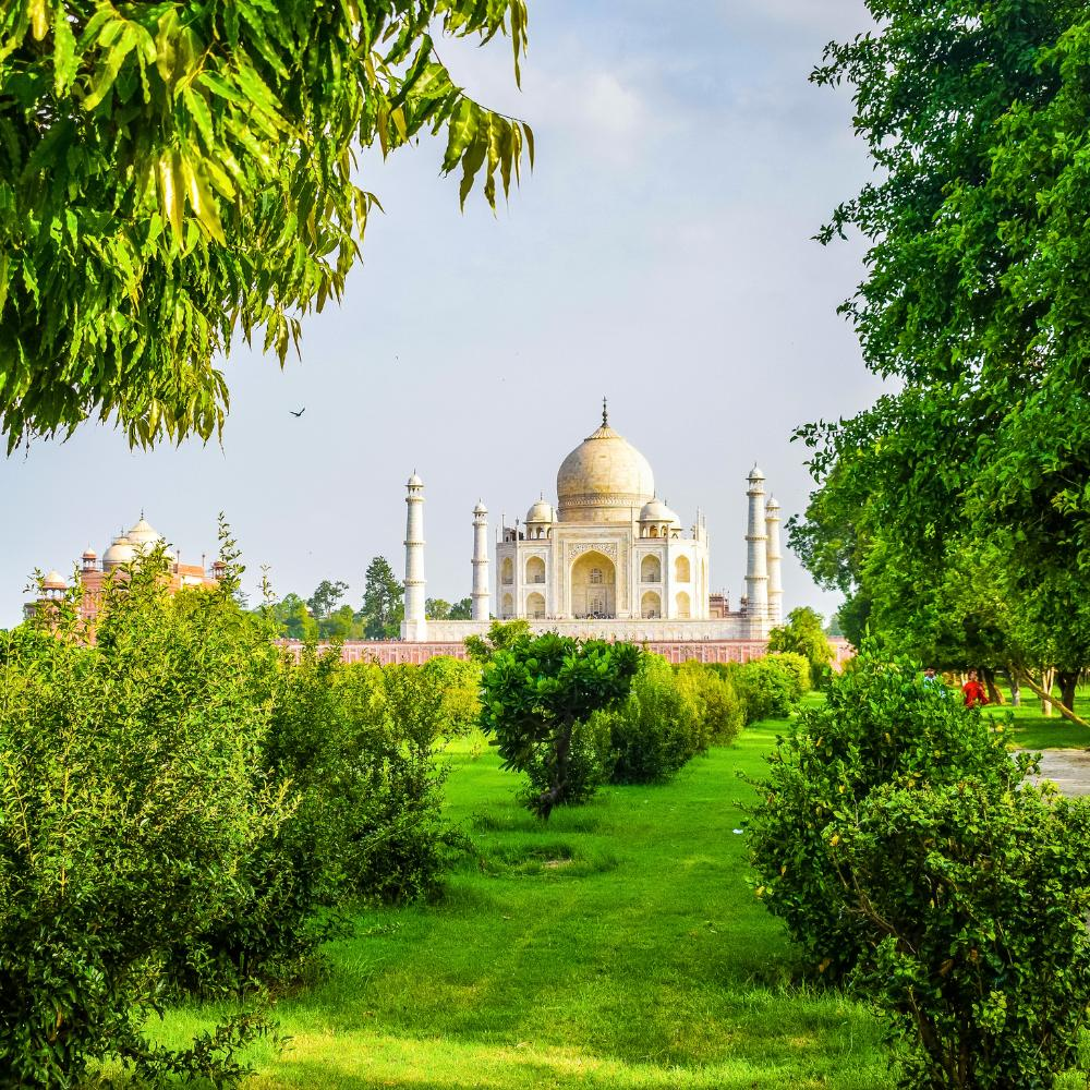 मेहताब बाग: ताजमहल का एक अनोखा नज़ारा